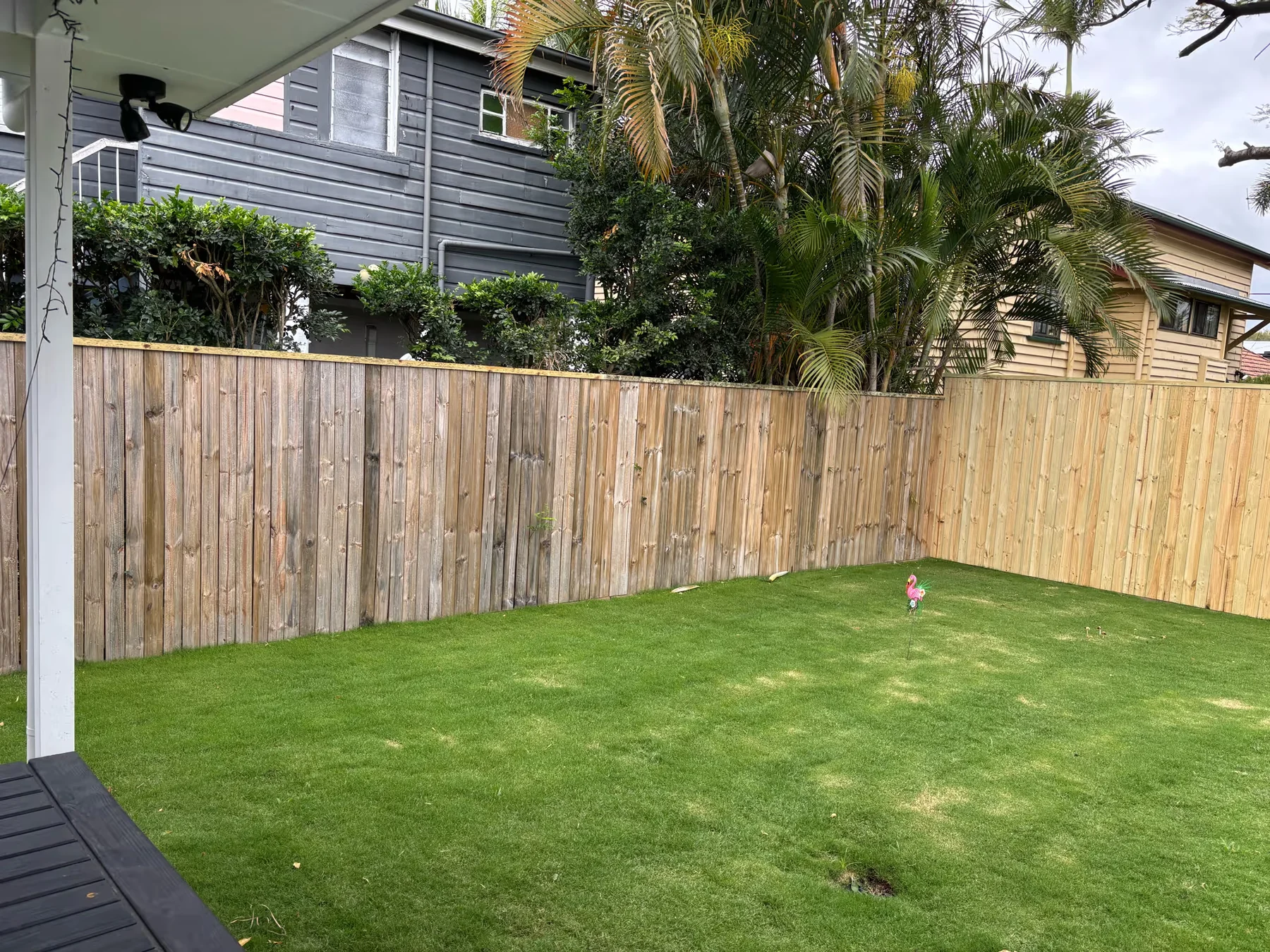 Timber boundary fencing enclosing a Brisbane backyard