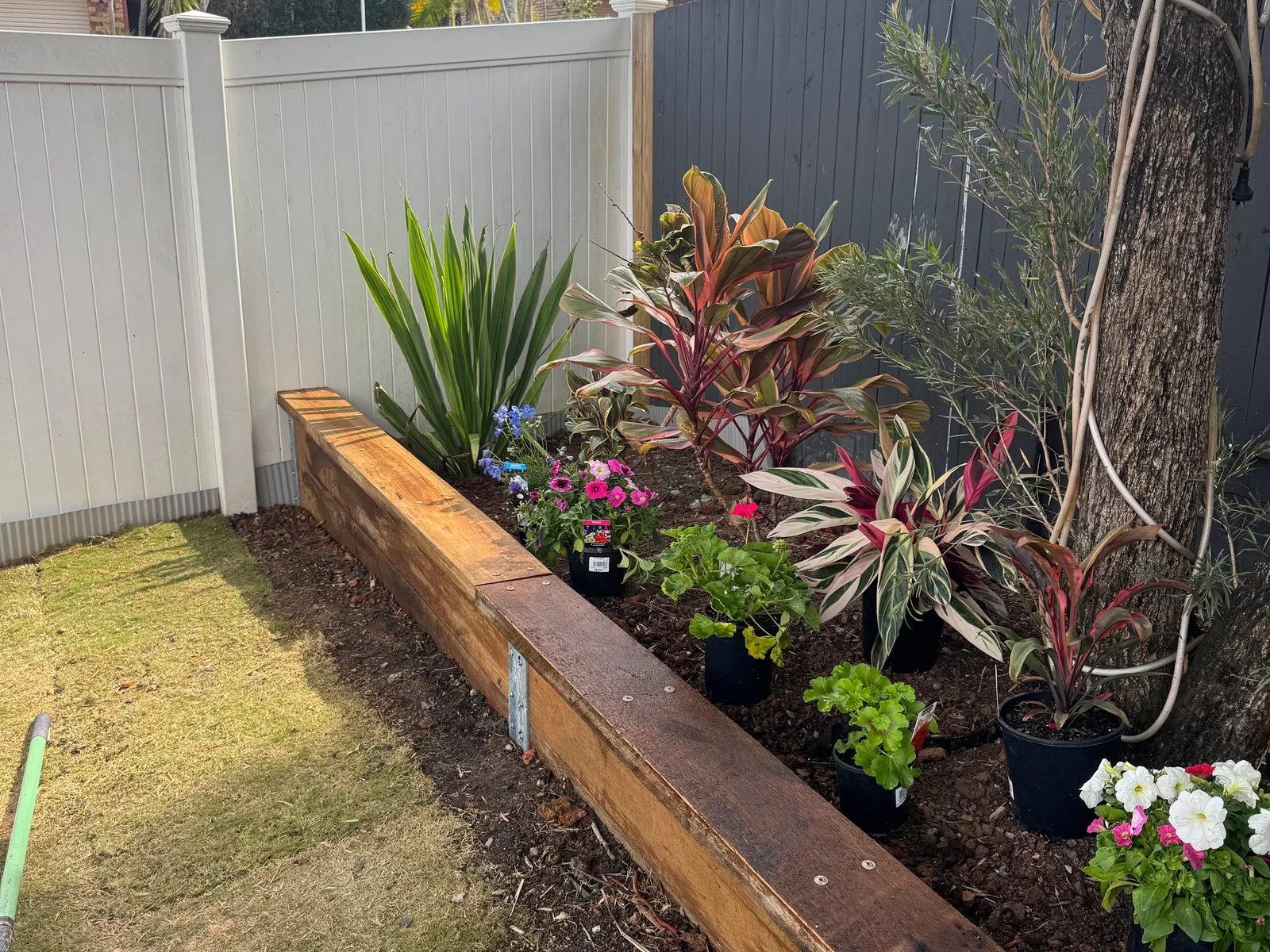 Timber garden retaining wall and planted bed at a Brisbane property